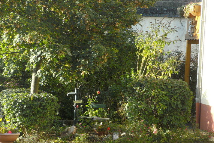 GardenSummer