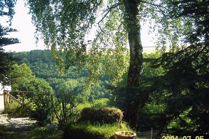 GardenSummer