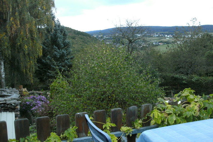 ViewSummer