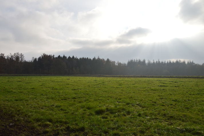 ViewSummer