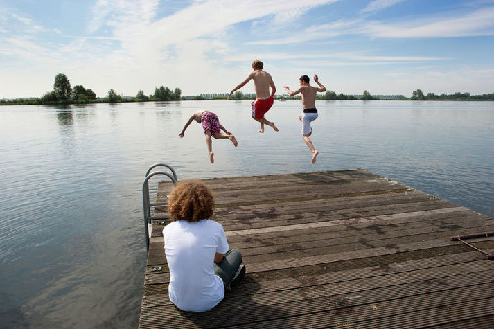 AreaSummer1KM