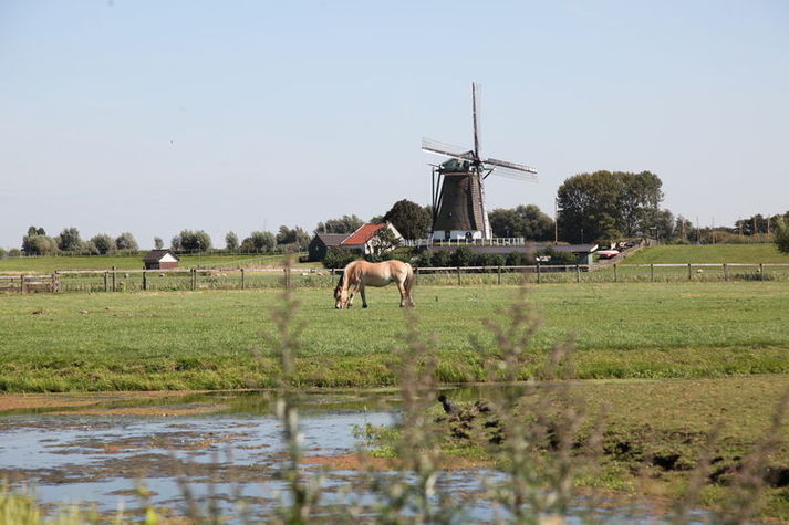AreaSummer1KM