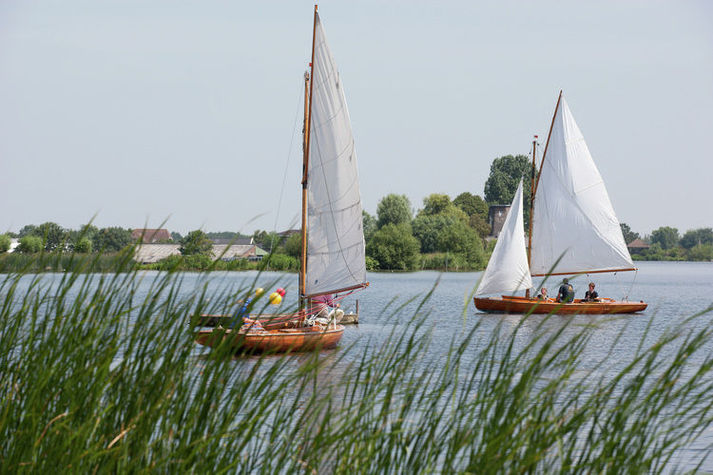 AreaSummer1KM