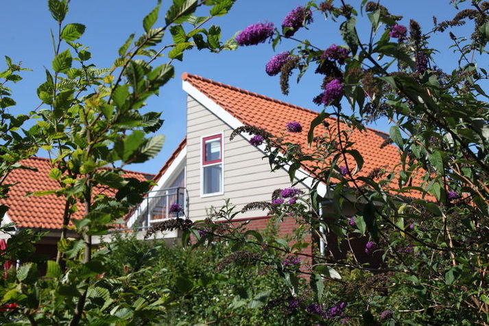 ExteriorSummer