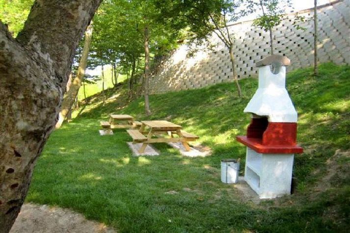 GardenSummer