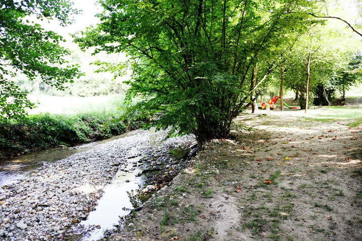 GardenSummer