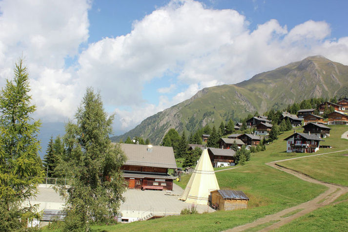 ViewSummer