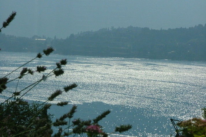 ViewSummer