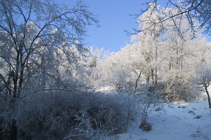 AreaWinter1KM