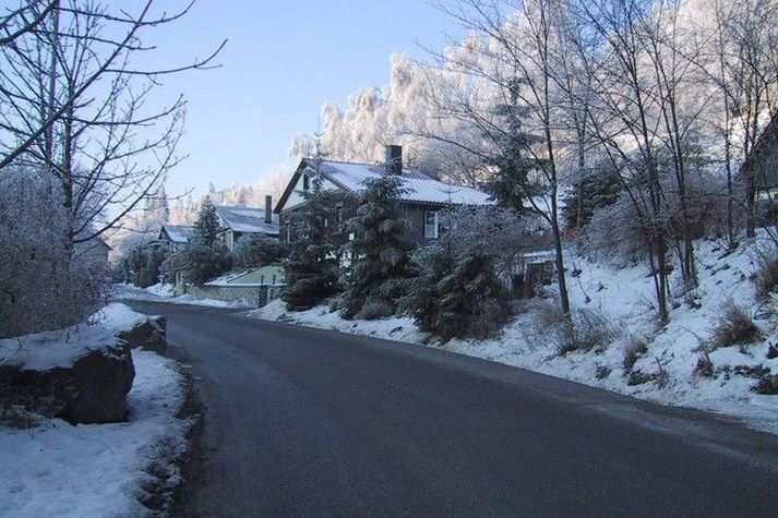 AreaWinter1KM