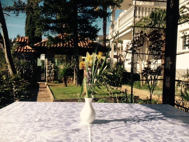 garden
