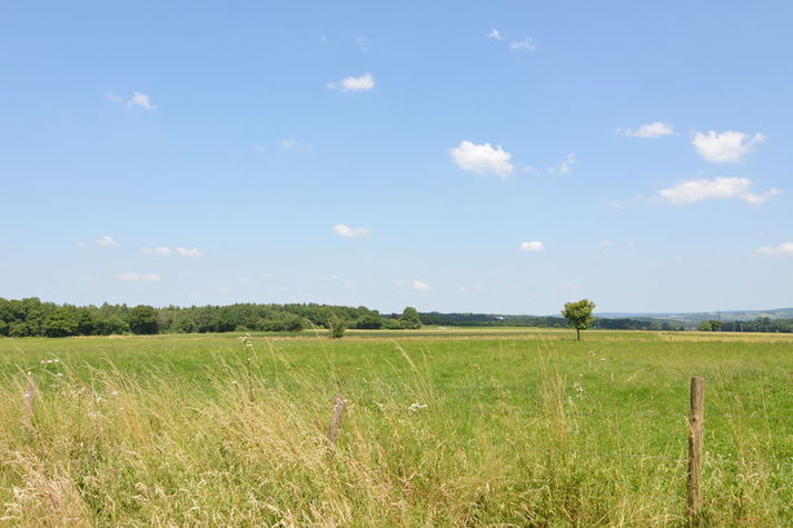 AreaSummer20KM