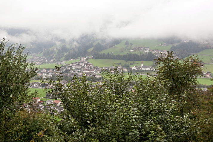 ViewSummer