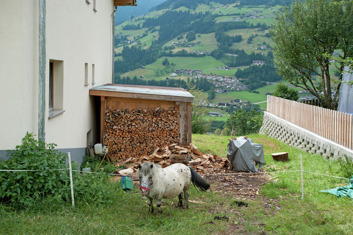 GardenSummer