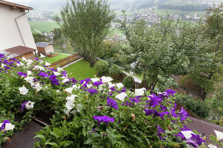 ViewSummer