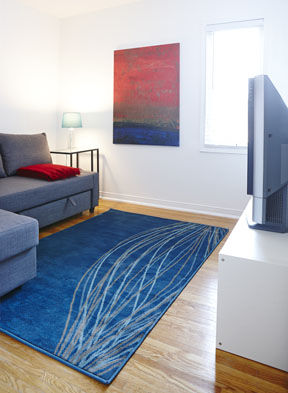 New pullout double in TV room