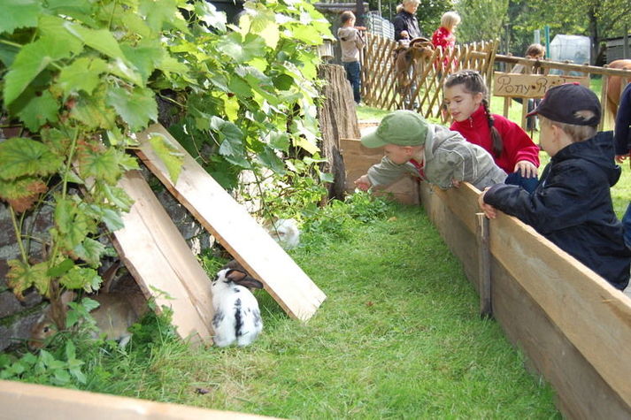 GardenSummer