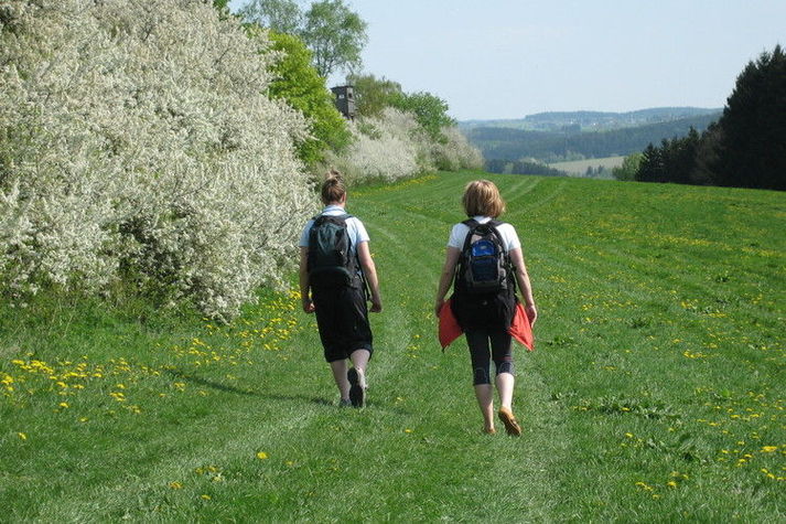 AreaSummer1KM