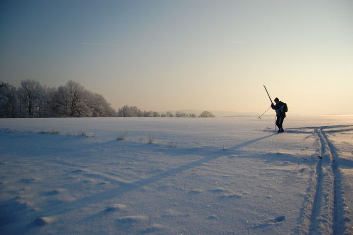 AreaWinter1KM