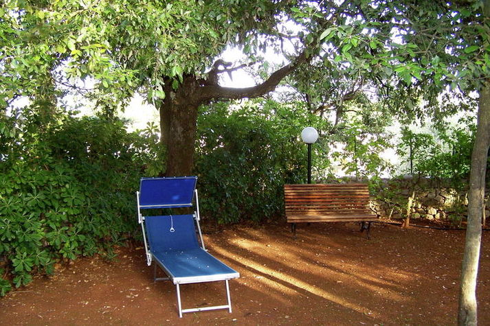 GardenSummer
