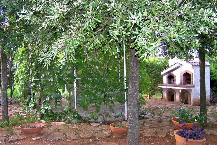 GardenSummer