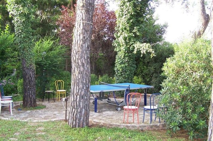 GardenSummer