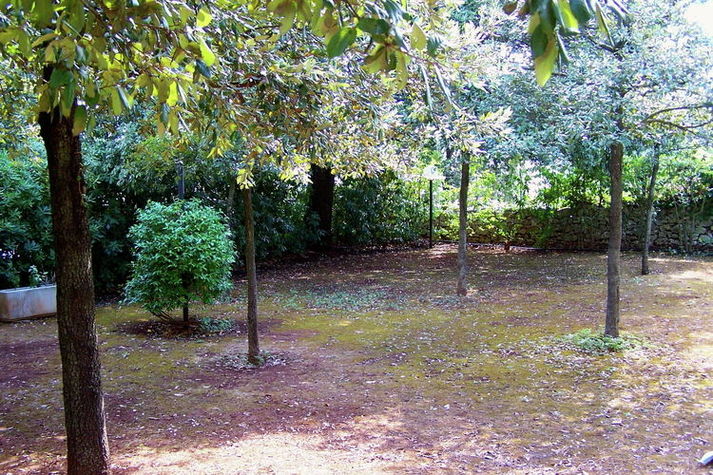 GardenSummer