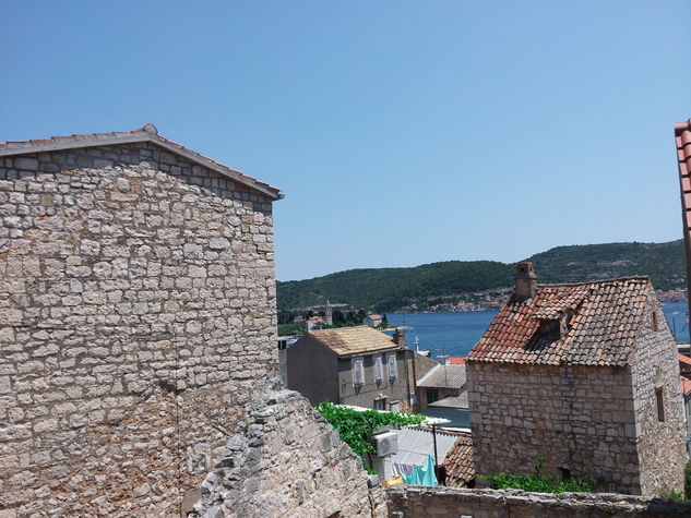 view