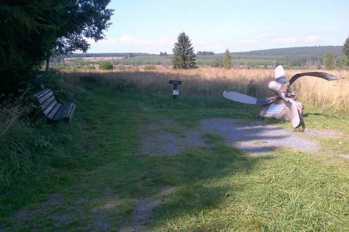 AreaSummer1KM