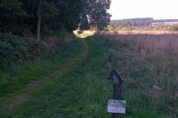 AreaSummer1KM