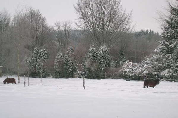 ExteriorWinter