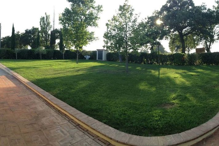 GardenSummer
