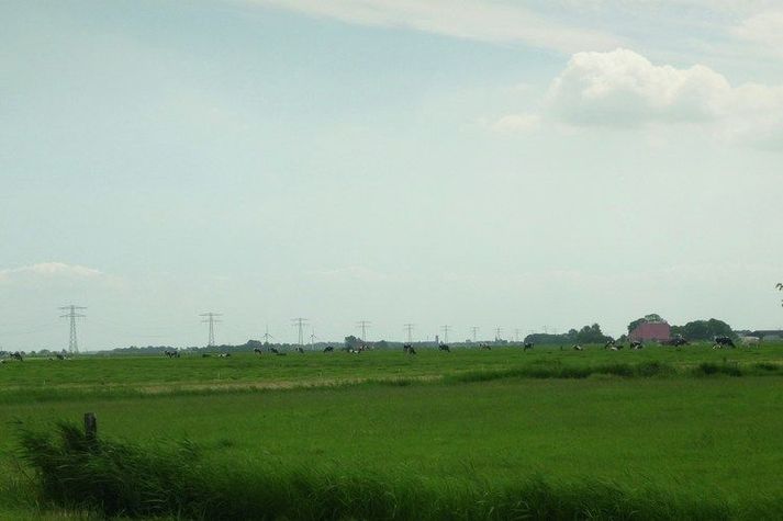ViewSummer