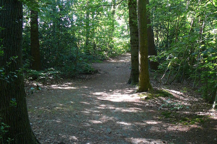 AreaSummer1KM