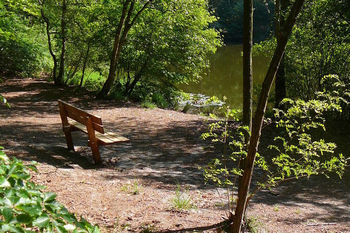AreaSummer1KM