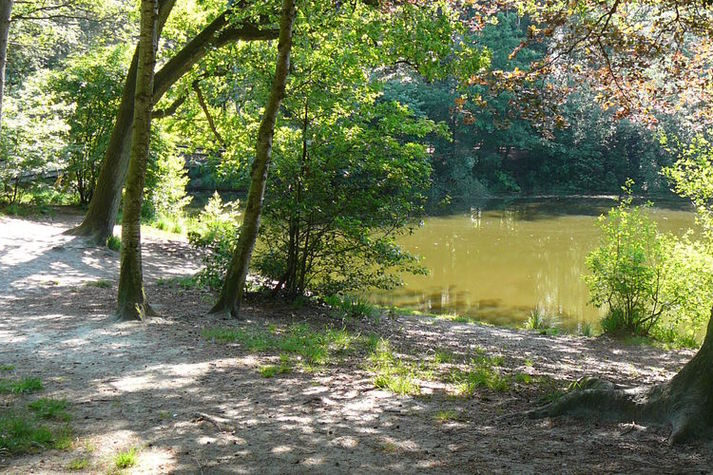 AreaSummer1KM