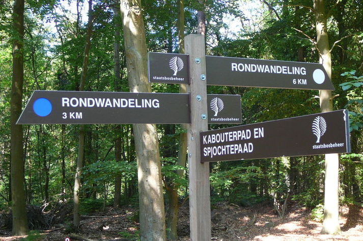 AreaSummer1KM