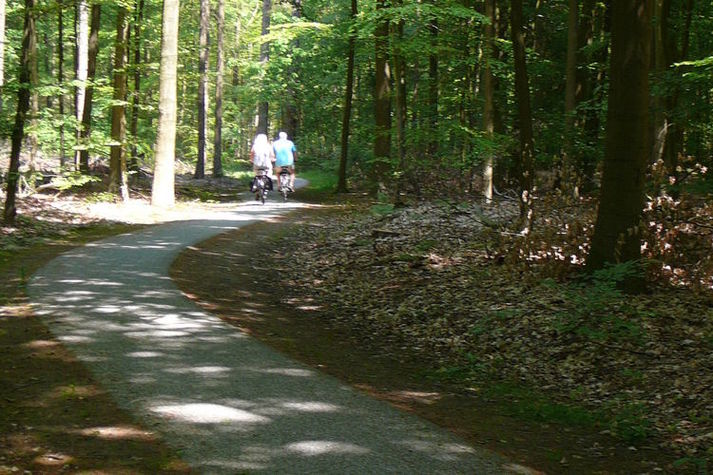 AreaSummer1KM