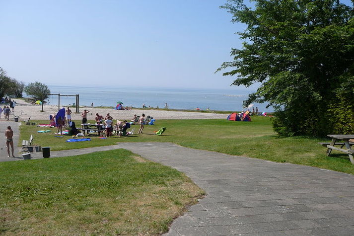AreaSummer5KM