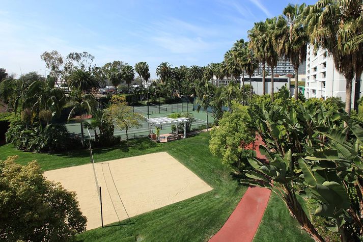 Sand volleyball & tennis courts