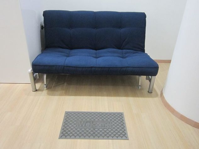 Twin sofa in the living room