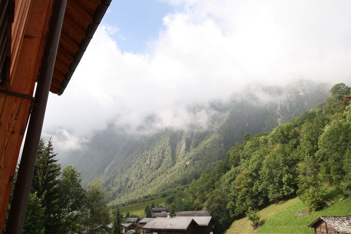 ViewSummer
