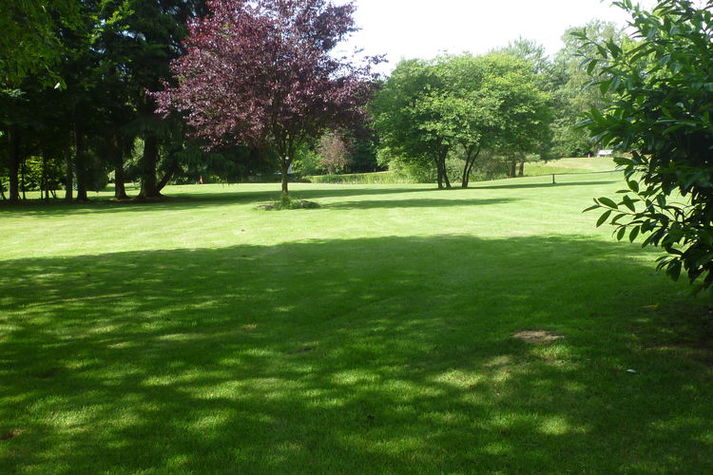 ViewSummer