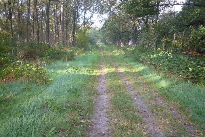 AreaSummer1KM
