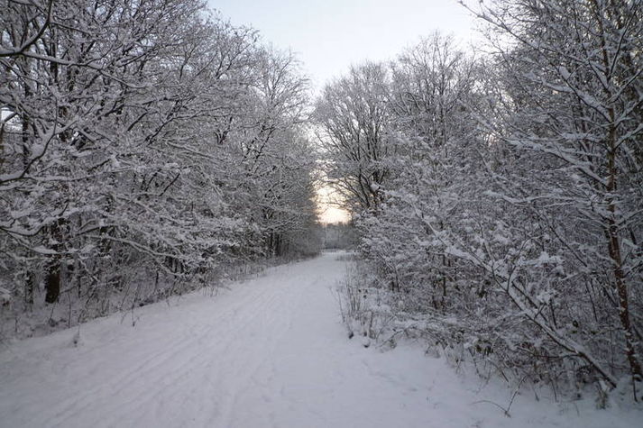 AreaWinter1KM