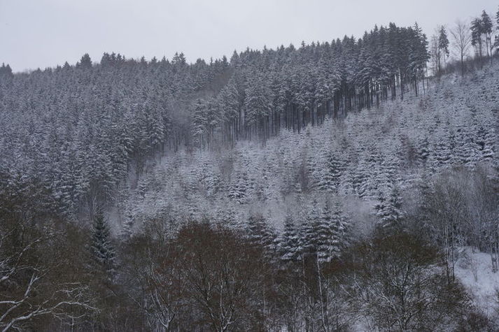 ViewWinter
