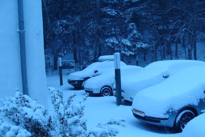 GardenWinter