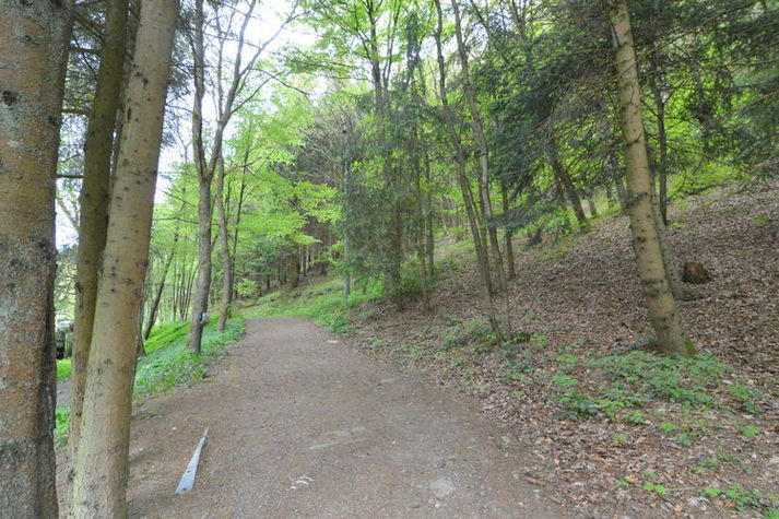 AreaSummer1KM