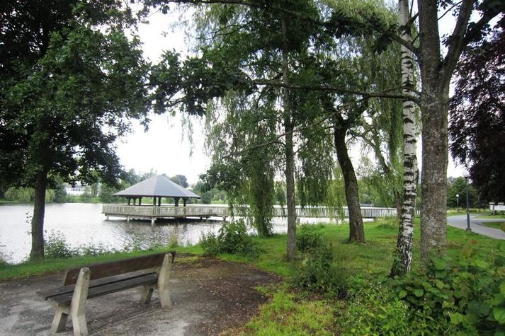 AreaSummer1KM
