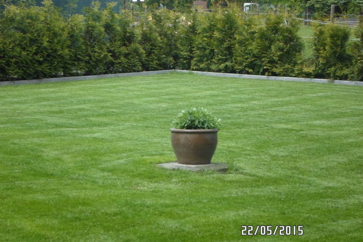 GardenSummer